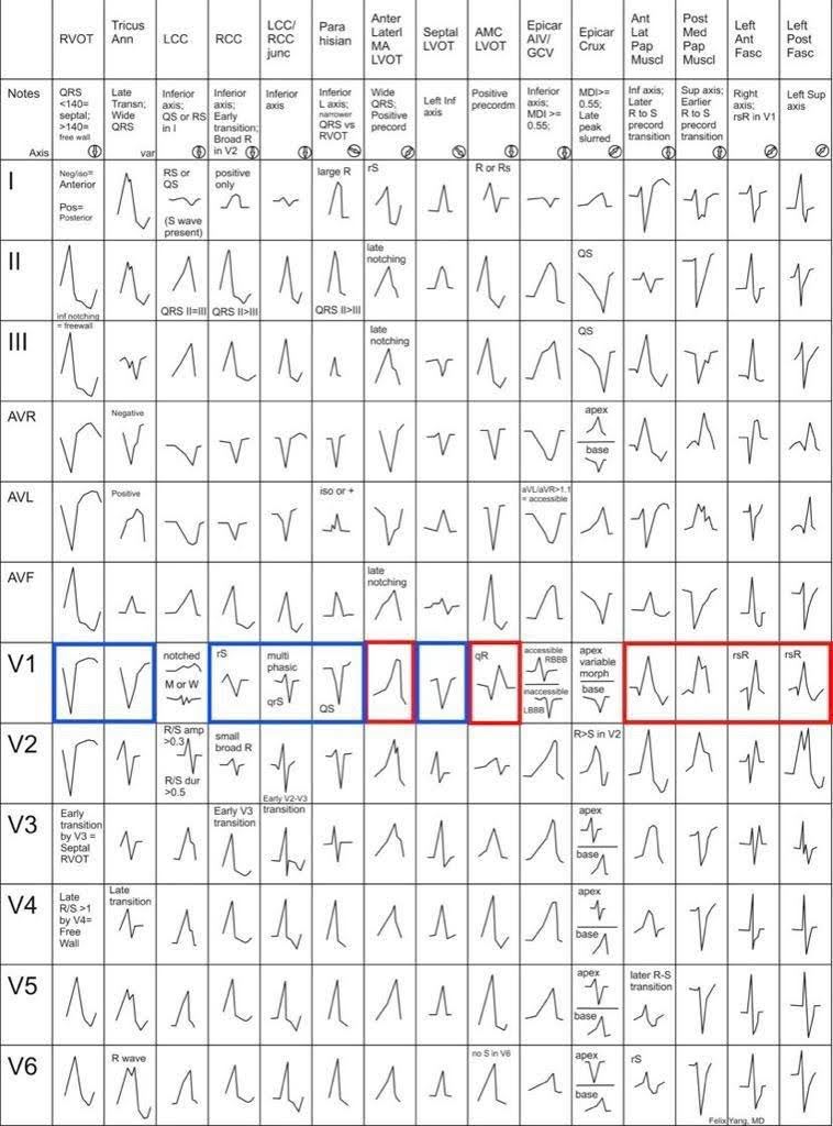 Mappa anatomica 15 colonne